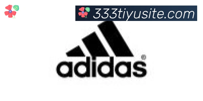 333体育合作伙伴